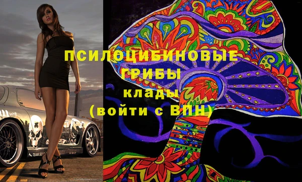 марки nbome Белокуриха